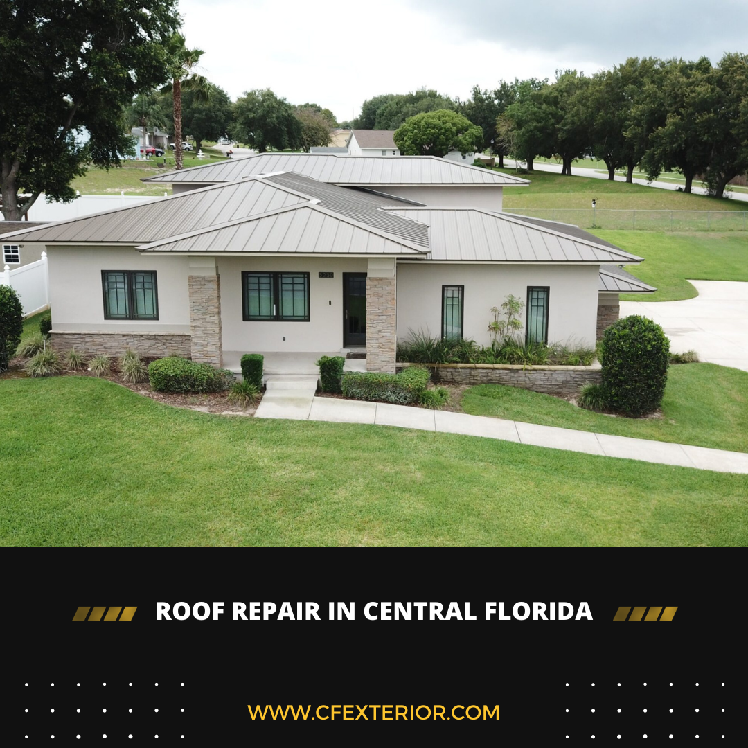 Roof Repair Company